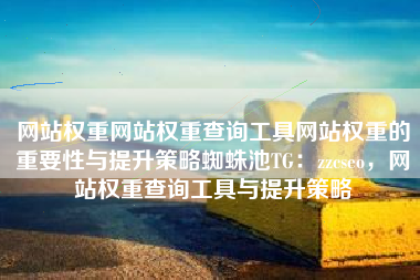 网站权重网站权重查询工具网站权重的重要性与提升策略蜘蛛池TG:zzcseo,网站权重查询工具与提升策略 网站权重网站权重查询工具网站权重的重要性与提升策略蜘蛛池TG:zzcseo,网站权重查询工具与提升策略
