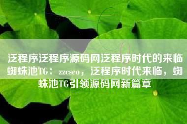 泛程序泛程序源码网泛程序时代的来临蜘蛛池TG：zzcseo，泛程序时代来临，蜘蛛池TG引领源码网新篇章