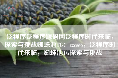 泛程序泛程序源码网泛程序时代来临，探索与挑战蜘蛛池TG：zzcseo，泛程序时代来临，蜘蛛池TG探索与挑战