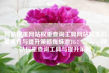 网站权重网站权重查询工具网站权重的重要性与提升策略蜘蛛池TG:zzcseo,网站权重查询工具与提升策略 网站权重网站权重查询工具网站权重的重要性与提升策略蜘蛛池TG:zzcseo,网站权重查询工具与提升策略