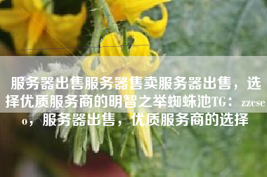 服务器出售服务器售卖服务器出售,选择优质服务商的明智之举蜘蛛池TG:zzcseo,服务器出售,优质服务商的选择 服务器出售服务器售卖服务器出售,选择优质服务商的明智之举蜘蛛池TG:zzcseo,服务器出售,优质服务商的选择