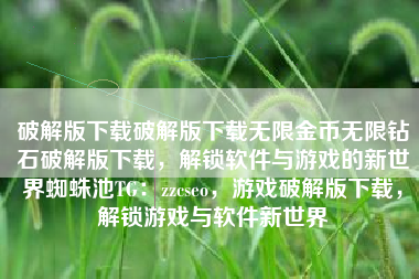 破解版下载破解版下载无限金币无限钻石破解版下载，解锁软件与游戏的新世界蜘蛛池TG：zzcseo，游戏破解版下载，解锁游戏与软件新世界
