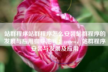 站群程序站群程序怎么安装站群程序的发展与应用蜘蛛池TG：zzcseo，站群程序安装与发展及应用