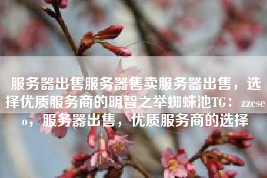 服务器出售服务器售卖服务器出售，选择优质服务商的明智之举蜘蛛池TG：zzcseo，服务器出售，优质服务商的选择