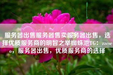 服务器出售服务器售卖服务器出售，选择优质服务商的明智之举蜘蛛池TG：zzcseo，服务器出售，优质服务商的选择