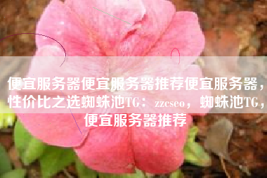 便宜服务器便宜服务器推荐便宜服务器,性价比之选蜘蛛池TG:zzcseo,蜘蛛池TG,便宜服务器推荐 便宜服务器便宜服务器推荐便宜服务器,性价比之选蜘蛛池TG:zzcseo,蜘蛛池TG,便宜服务器推荐