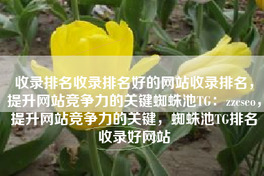 收录排名收录排名好的网站收录排名，提升网站竞争力的关键蜘蛛池TG：zzcseo，提升网站竞争力的关键，蜘蛛池TG排名收录好网站