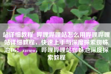 站详细教程_哔哩哔哩站怎么用哔哩哔哩站详细教程,快速上手与深度探索蜘蛛池TG:zzcseo,哔哩哔哩站蜘蛛池深度探索教程 站详细教程_哔哩哔哩站怎么用哔哩哔哩站详细教程,快速上手与深度探索蜘蛛池TG:zzcseo,哔哩哔哩站蜘蛛池深度探索教程