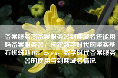 备案服务器备案服务器到期域名还能用吗备案服务器,构建数字时代的坚实基石蜘蛛池TG:zzcseo,数字时代备案服务器的使用与到期域名情况 备案服务器备案服务器到期域名还能用吗备案服务器,构建数字时代的坚实基石蜘蛛池TG:zzcseo,数字时代备案服务器的使用与到期域名情况