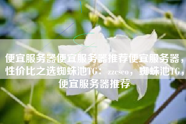 便宜服务器便宜服务器推荐便宜服务器，性价比之选蜘蛛池TG：zzcseo，蜘蛛池TG，便宜服务器推荐