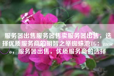 服务器出售服务器售卖服务器出售，选择优质服务商的明智之举蜘蛛池TG：zzcseo，服务器出售，优质服务商的选择