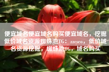 便宜域名便宜域名购买便宜域名,挖掘低价域名资源蜘蛛池TG:zzcseo,低价域名资源挖掘,蜘蛛池TG,域名购买 便宜域名便宜域名购买便宜域名,挖掘低价域名资源蜘蛛池TG:zzcseo,低价域名资源挖掘,蜘蛛池TG,域名购买
