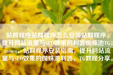 站群程序站群程序怎么安装站群程序，提升网站流量与SEO效果的利器蜘蛛池TG：zzcseo，站群程序安装指南，提升网站流量与SEO效果的蜘蛛池利器，TG教程分享。