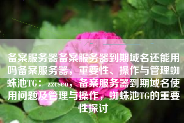 备案服务器备案服务器到期域名还能用吗备案服务器，重要性、操作与管理蜘蛛池TG：zzcseo，备案服务器到期域名使用问题及管理与操作，蜘蛛池TG的重要性探讨