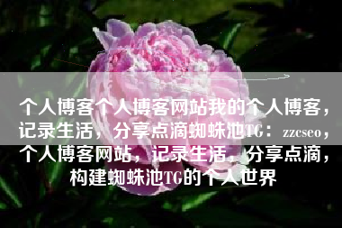 个人博客个人博客网站我的个人博客，记录生活，分享点滴蜘蛛池TG：zzcseo，个人博客网站，记录生活，分享点滴，构建蜘蛛池TG的个人世界