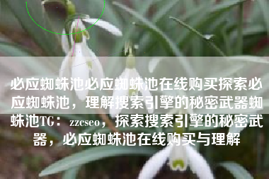 必应蜘蛛池必应蜘蛛池在线购买探索必应蜘蛛池，理解搜索引擎的秘密武器蜘蛛池TG：zzcseo，探索搜索引擎的秘密武器，必应蜘蛛池在线购买与理解