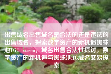 出售域名出售域名是合法的还是违法的出售域名，探索数字资产的新机遇蜘蛛池TG：zzcseo，域名出售合法性探讨，数字资产的新机遇与蜘蛛池TG域名交易探索