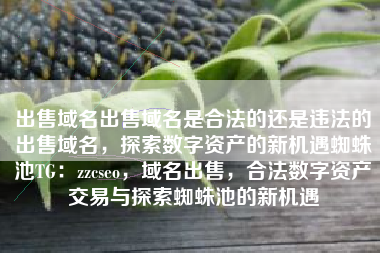 出售域名出售域名是合法的还是违法的出售域名，探索数字资产的新机遇蜘蛛池TG：zzcseo，域名出售，合法数字资产交易与探索蜘蛛池的新机遇