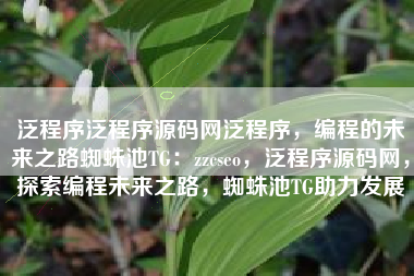 泛程序泛程序源码网泛程序，编程的未来之路蜘蛛池TG：zzcseo，泛程序源码网，探索编程未来之路，蜘蛛池TG助力发展