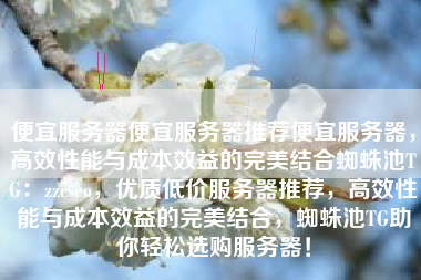 便宜服务器便宜服务器推荐便宜服务器，高效性能与成本效益的完美结合蜘蛛池TG：zzcseo，优质低价服务器推荐，高效性能与成本效益的完美结合，蜘蛛池TG助你轻松选购服务器！