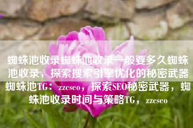 蜘蛛池收录蜘蛛池收录一般要多久蜘蛛池收录，探索搜索引擎优化的秘密武器蜘蛛池TG：zzcseo，探索SEO秘密武器，蜘蛛池收录时间与策略TG，zzcseo