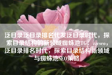 泛目录泛目录排名代发泛目录时代，探索目录结构的新领域蜘蛛池TG：zzcseo，泛目录排名时代，探索目录结构新领域与蜘蛛池SEO策略