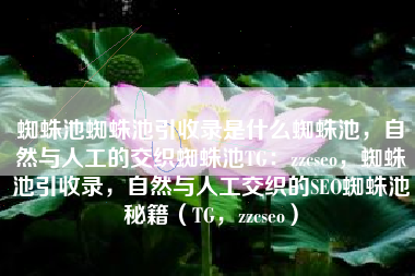 蜘蛛池蜘蛛池引收录是什么蜘蛛池，自然与人工的交织蜘蛛池TG：zzcseo，蜘蛛池引收录，自然与人工交织的SEO蜘蛛池秘籍（TG，zzcseo）