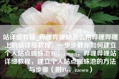 站详细教程_哔哩哔哩站怎么用哔哩哔哩上的站详细教程，一步步教你如何建立个人站点蜘蛛池TG：zzcseo，哔哩哔哩站详细教程，建立个人站点蜘蛛池的方法与步骤（附TG，zzcseo）