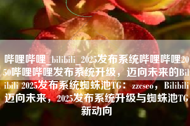 哔哩哔哩_bilibili_2025发布系统哔哩哔哩2050哔哩哔哩发布系统升级，迈向未来的Bilibili 2025发布系统蜘蛛池TG：zzcseo，Bilibili迈向未来，2025发布系统升级与蜘蛛池TG新动向