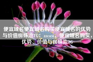 便宜域名便宜域名购买便宜域名的优势与价值蜘蛛池TG：zzcseo，便宜域名购买，优势、价值与蜘蛛池TG