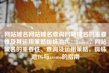 网站域名网站域名查询网站域名的重要性及其运用策略蜘蛛池TG：zzcseo，网站域名的重要性、查询及运用策略，蜘蛛池TG与zzcseo的指南