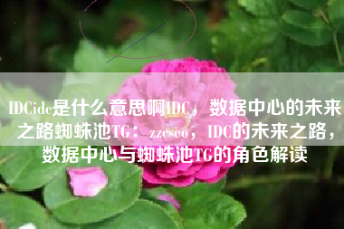 IDCidc是什么意思啊IDC，数据中心的未来之路蜘蛛池TG：zzcseo，IDC的未来之路，数据中心与蜘蛛池TG的角色解读