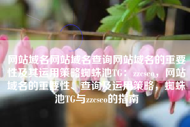 网站域名网站域名查询网站域名的重要性及其运用策略蜘蛛池TG：zzcseo，网站域名的重要性、查询及运用策略，蜘蛛池TG与zzcseo的指南