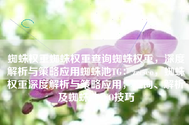 蜘蛛权重蜘蛛权重查询蜘蛛权重，深度解析与策略应用蜘蛛池TG：zzcseo，蜘蛛权重深度解析与策略应用，查询、解析及蜘蛛池SEO技巧