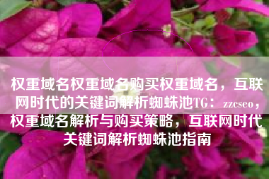 权重域名权重域名购买权重域名，互联网时代的关键词解析蜘蛛池TG：zzcseo，权重域名解析与购买策略，互联网时代关键词解析蜘蛛池指南