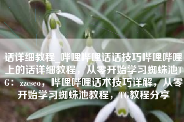 话详细教程_哔哩哔哩话话技巧哔哩哔哩上的话详细教程，从零开始学习蜘蛛池TG：zzcseo，哔哩哔哩话术技巧详解，从零开始学习蜘蛛池教程，TG教程分享