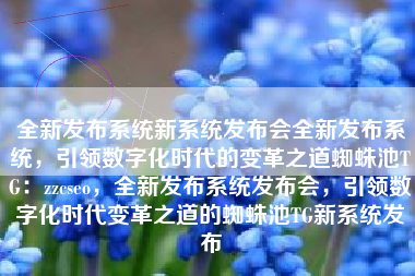 全新发布系统新系统发布会全新发布系统，引领数字化时代的变革之道蜘蛛池TG：zzcseo，全新发布系统发布会，引领数字化时代变革之道的蜘蛛池TG新系统发布
