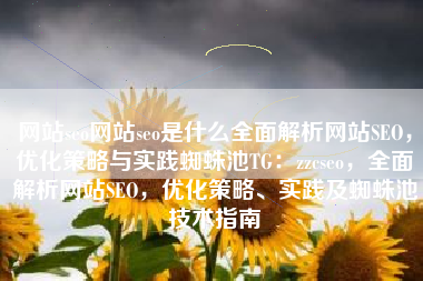 网站seo网站seo是什么全面解析网站SEO，优化策略与实践蜘蛛池TG：zzcseo，全面解析网站SEO，优化策略、实践及蜘蛛池技术指南