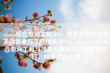 seoseo综合查询工具SEO，搜索引擎优化的关键要素与实践蜘蛛池TG：zzcseo，SEO综合查询工具与搜索引擎优化关键要素实践，蜘蛛池TG指南