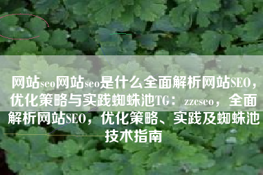 网站seo网站seo是什么全面解析网站SEO，优化策略与实践蜘蛛池TG：zzcseo，全面解析网站SEO，优化策略、实践及蜘蛛池技术指南