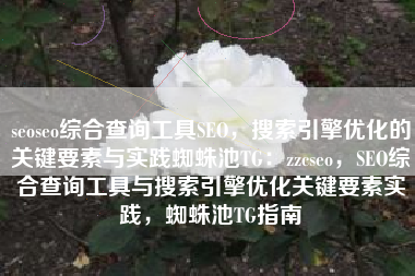seoseo综合查询工具SEO，搜索引擎优化的关键要素与实践蜘蛛池TG：zzcseo，SEO综合查询工具与搜索引擎优化关键要素实践，蜘蛛池TG指南