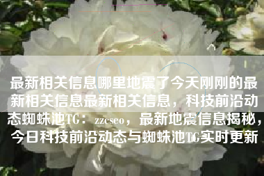 最新相关信息哪里地震了今天刚刚的最新相关信息最新相关信息，科技前沿动态蜘蛛池TG：zzcseo，最新地震信息揭秘，今日科技前沿动态与蜘蛛池TG实时更新
