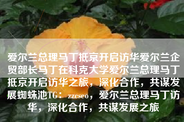爱尔兰总理马丁抵京开启访华爱尔兰企贸部长马丁在科克大学爱尔兰总理马丁抵京开启访华之旅，深化合作，共谋发展蜘蛛池TG：zzcseo，爱尔兰总理马丁访华，深化合作，共谋发展之旅