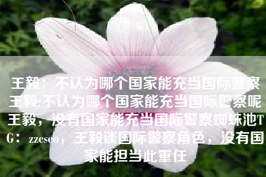 王毅:不认为哪个国家能充当国际警察王毅:不认为哪个国家能充当国际警察呢王毅,没有国家能充当国际警察蜘蛛池TG:zzcseo,王毅谈国际警察角色,没有国家能担当此重任 王毅:不认为哪个国家能充当国际警察王毅:不认为哪个国家能充当国际警察呢王毅,没有国家能充当国际警察蜘蛛池TG:zzcseo,王毅谈国际警察角色,没有国家能担当此重任