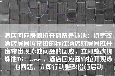 酒店回应房间拉开窗帘是泳池：将整改酒店房间窗帘拉的标准酒店对房间拉开窗帘出现泳池问题的回应，立即整改蜘蛛池TG：zzcseo，酒店回应窗帘拉开现泳池问题，立即行动整改措施启动