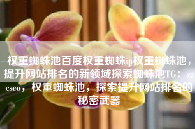 权重蜘蛛池百度权重蜘蛛ip权重蜘蛛池，提升网站排名的新领域探索蜘蛛池TG：zzcseo，权重蜘蛛池，探索提升网站排名的秘密武器