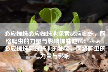 必应蜘蛛必应蜘蛛池探索必应蜘蛛，网络爬虫的力量与影响蜘蛛池TG：zzcseo，必应蜘蛛与蜘蛛池的秘密，网络爬虫的力量与影响