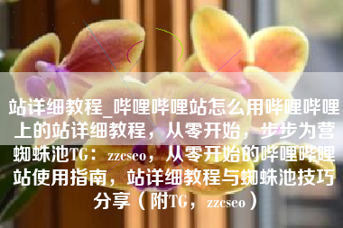 站详细教程_哔哩哔哩站怎么用哔哩哔哩上的站详细教程，从零开始，步步为营蜘蛛池TG：zzcseo，从零开始的哔哩哔哩站使用指南，站详细教程与蜘蛛池技巧分享（附TG，zzcseo）