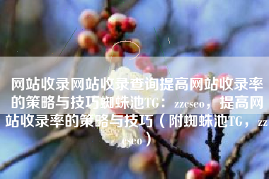 网站收录网站收录查询提高网站收录率的策略与技巧蜘蛛池TG:zzcseo,提高网站收录率的策略与技巧(附蜘蛛池TG,zzcseo) 网站收录网站收录查询提高网站收录率的策略与技巧蜘蛛池TG:zzcseo,提高网站收录率的策略与技巧(附蜘蛛池TG,zzcseo)