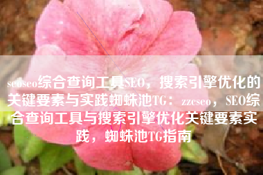 seoseo综合查询工具SEO，搜索引擎优化的关键要素与实践蜘蛛池TG：zzcseo，SEO综合查询工具与搜索引擎优化关键要素实践，蜘蛛池TG指南